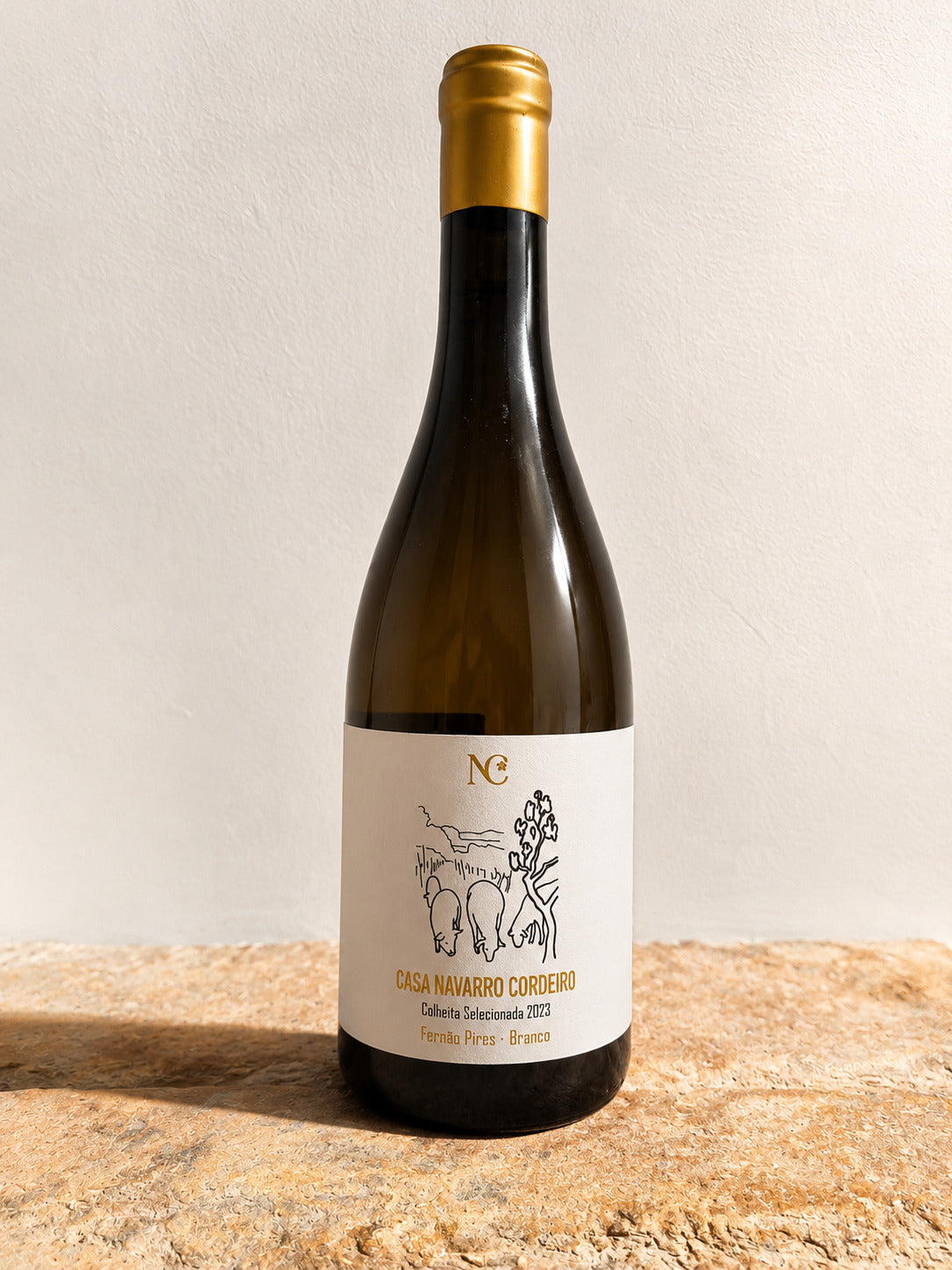 Casa Navarro Cordeiro White Wine Selected Harvest 2023 from Terras de Sicó, Portugal