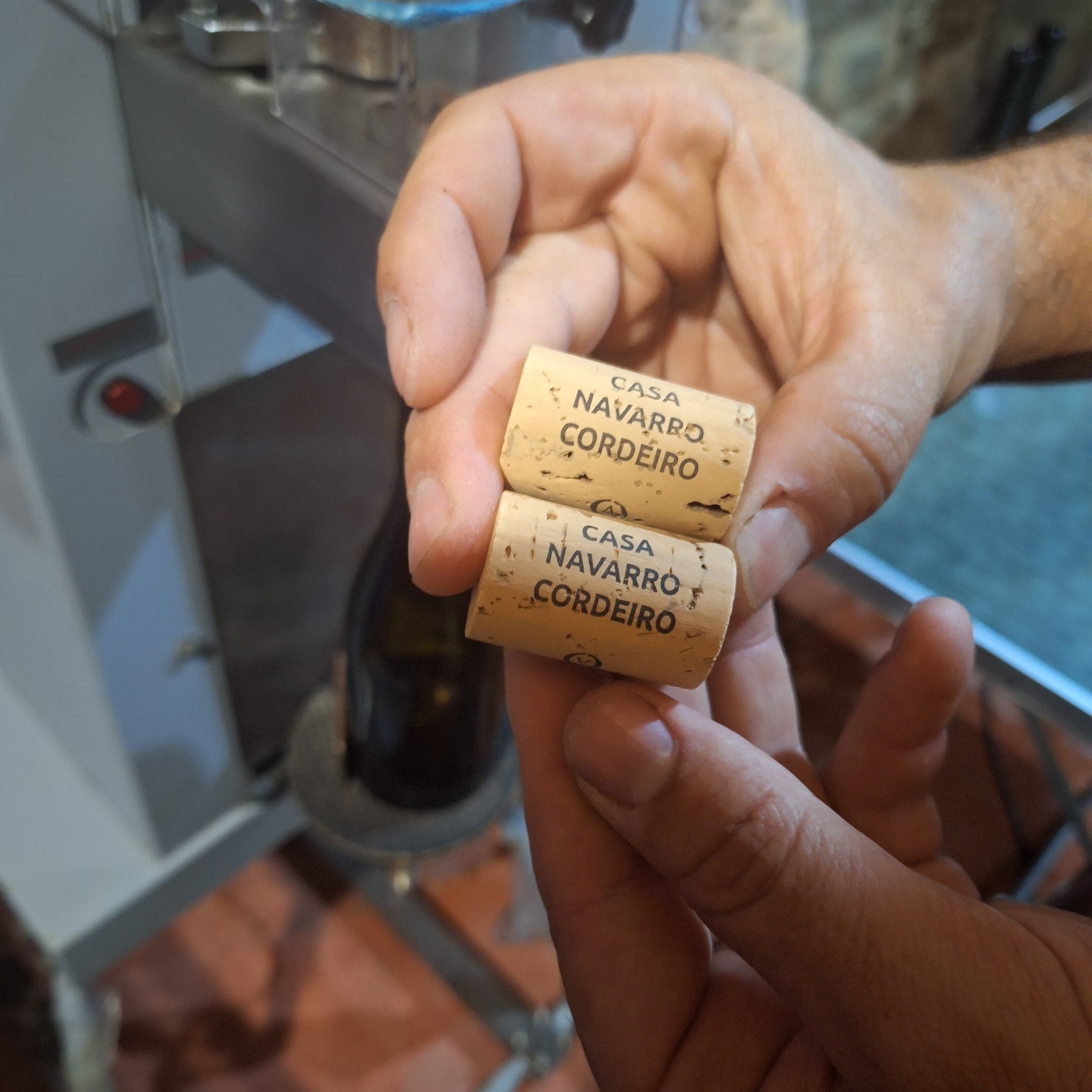 Custom corks with Casa Navarro Cordeiro branding for wine bottles