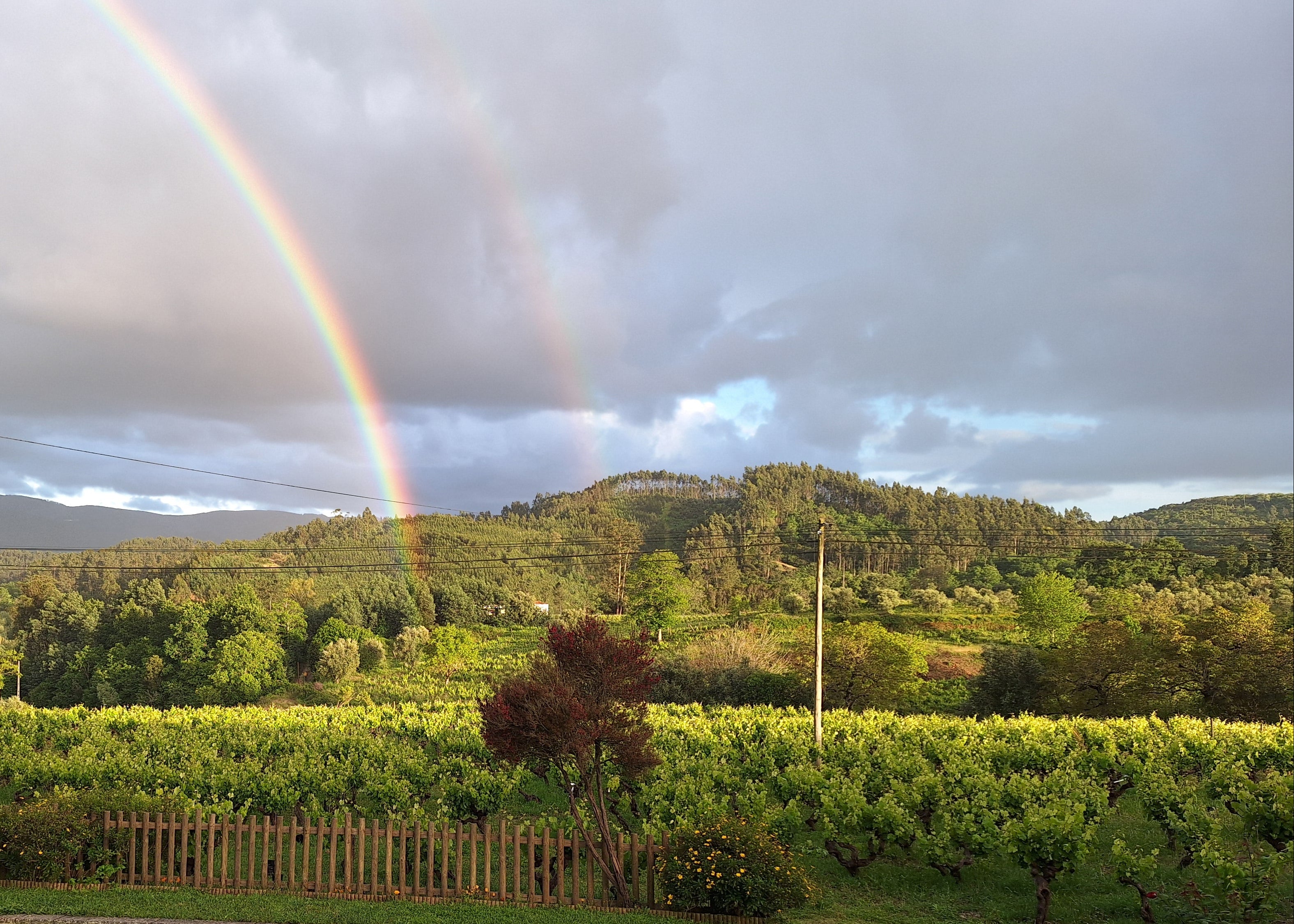 Rainbow over Casa Navarro Cordeiro vineyard in Terras de Sicó, Portugal