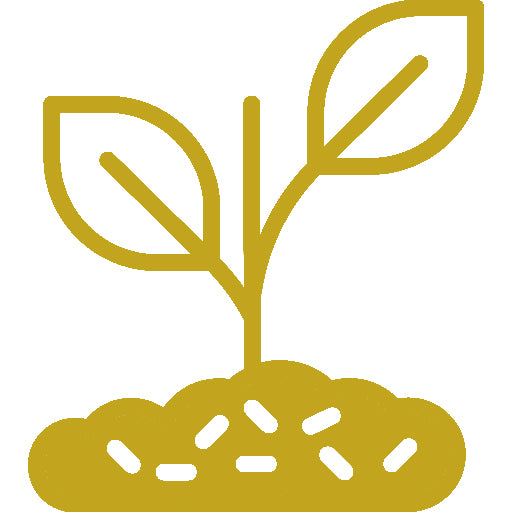Gold icon of a young plant growing from the soil representing vineyard growth and sustainable farming